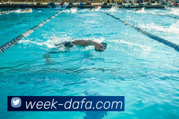 大发彩票平台生态图